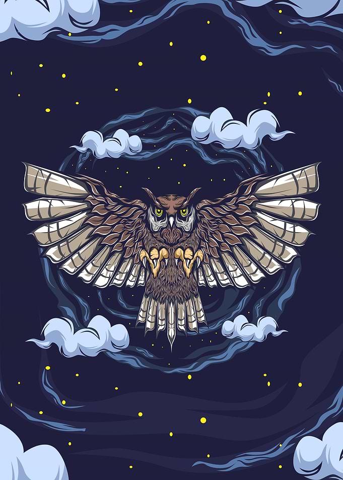 OWL IN THE NIGHT SKY