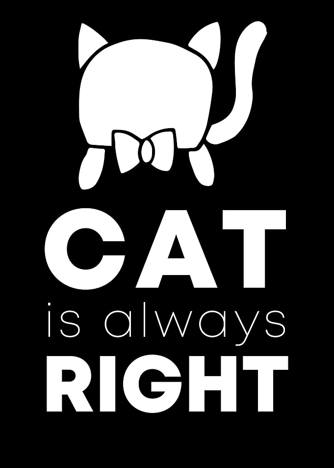Cat Always Right 6