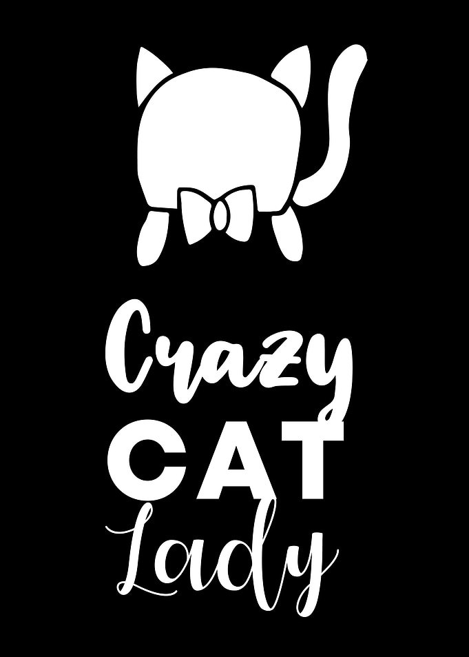 Crazy Cat Lady 12
