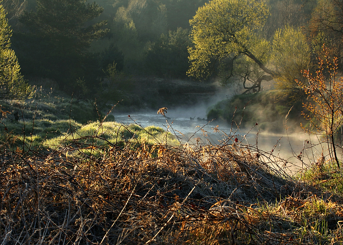 Morning on the river