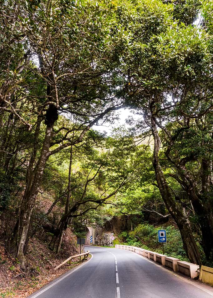 Tunnel Ahead