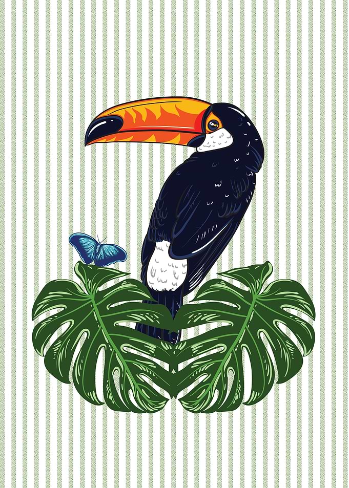 Tropical Toucan