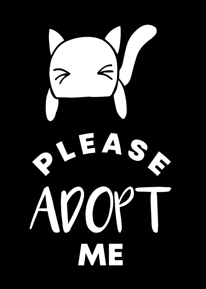 Cat Please Adopt Me 8