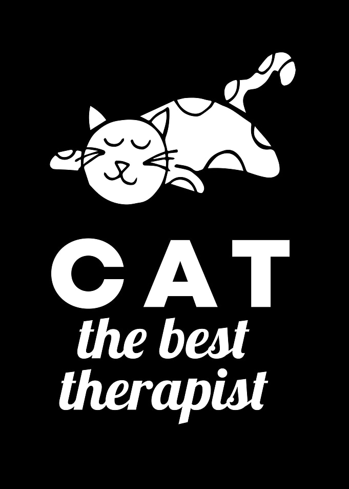 Cat Best Therapist 4
