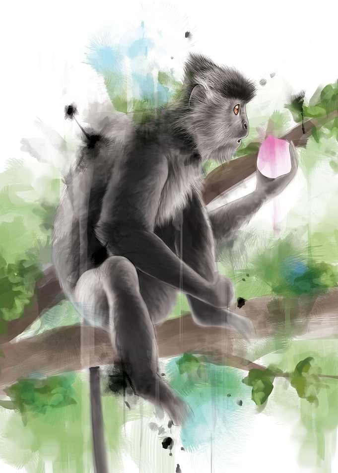 Monkey and Peach