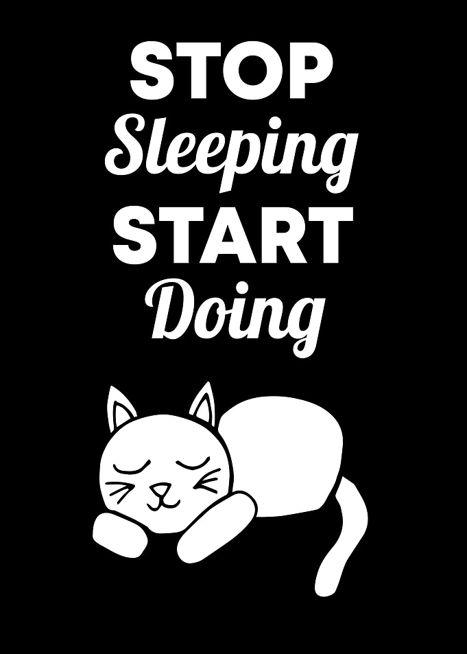 Cat Stop Sleeping 2