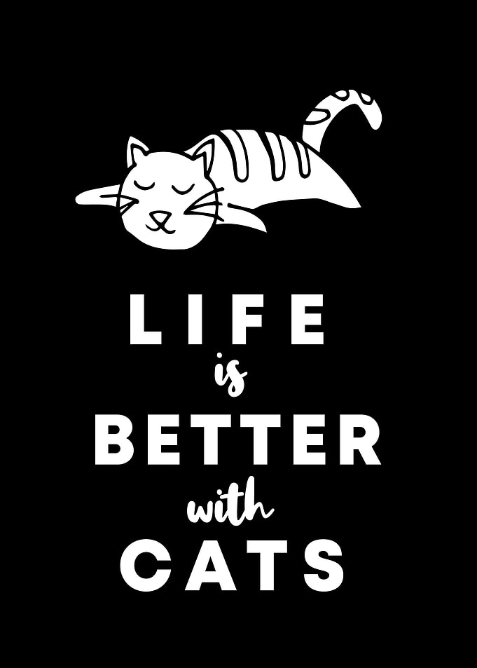 Cats Life Is Better 2