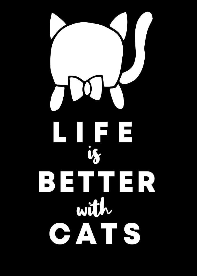 Cats Life Is Better 11