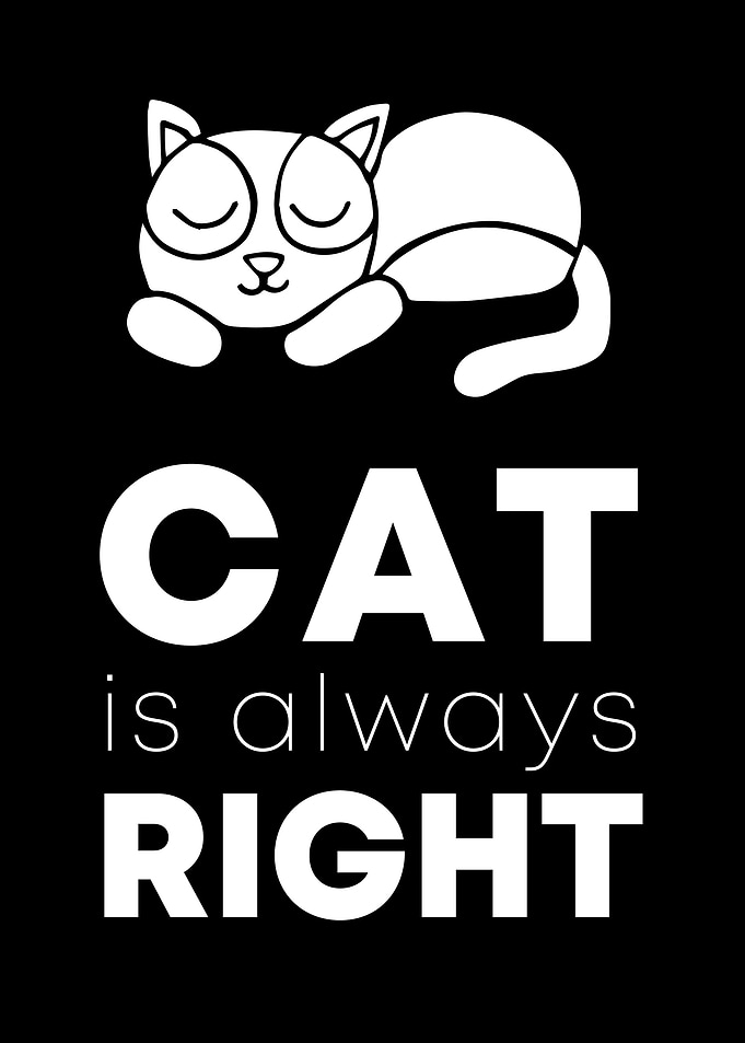 Cat Always Right 5