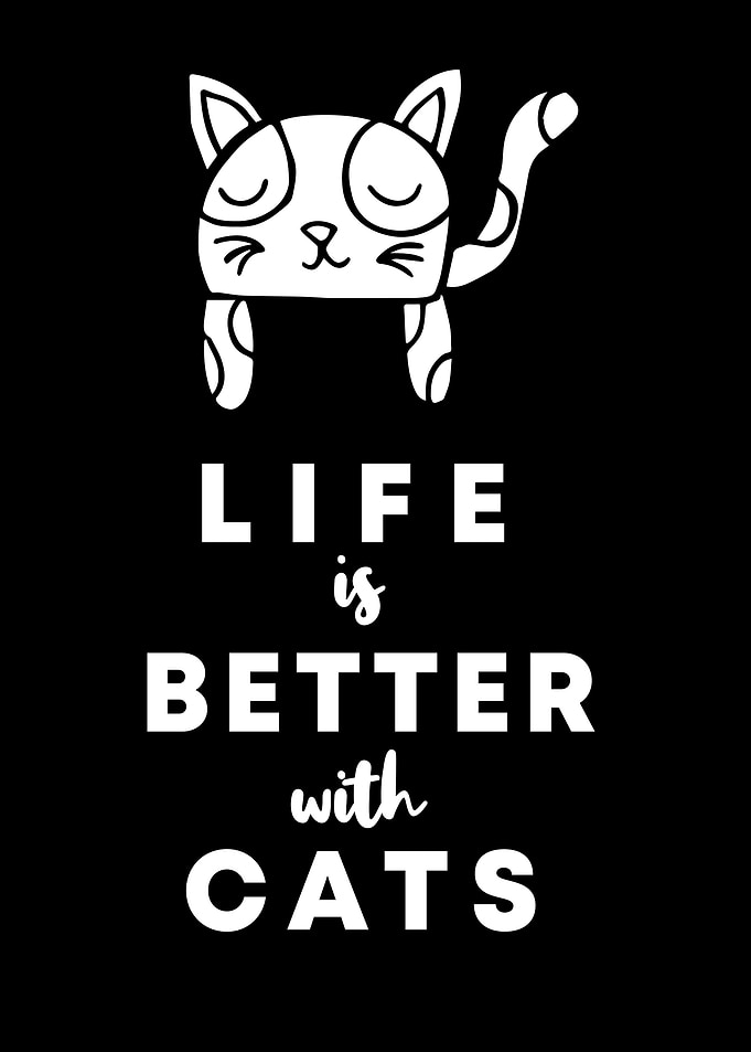 Cats Life Is Better 10