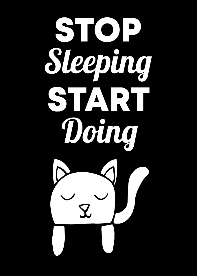 Cat Stop Sleeping 9