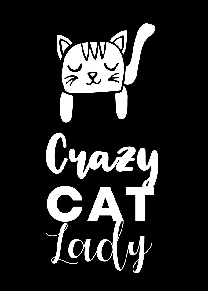 Crazy Cat Lady 14