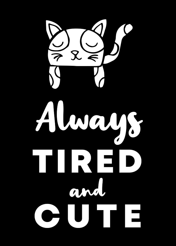 Cat Tired and Cute 14