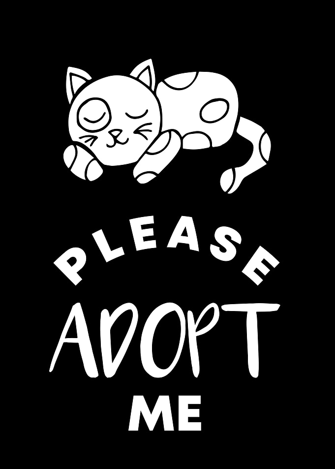 Cat Please Adopt Me 10