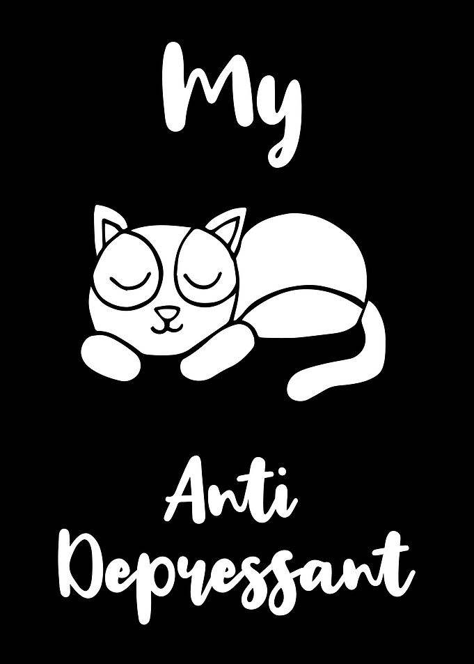 Cat Anti Depressant 14