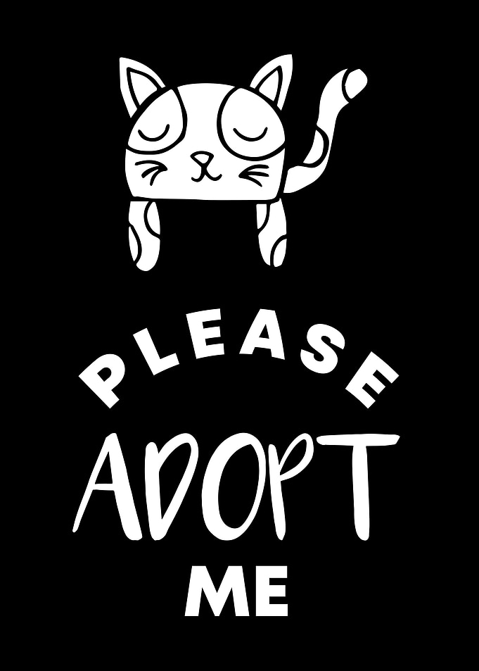 Cat Please Adopt Me 9