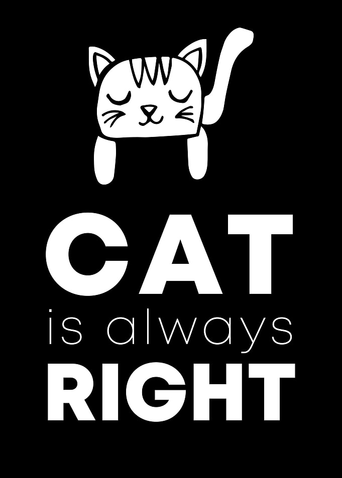 Cat Always Right 9