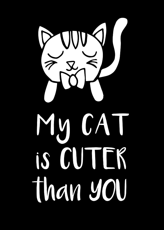 My Cat Is Cuter 4