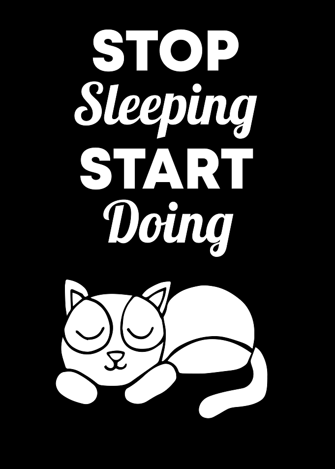 Cat Stop Sleeping 11