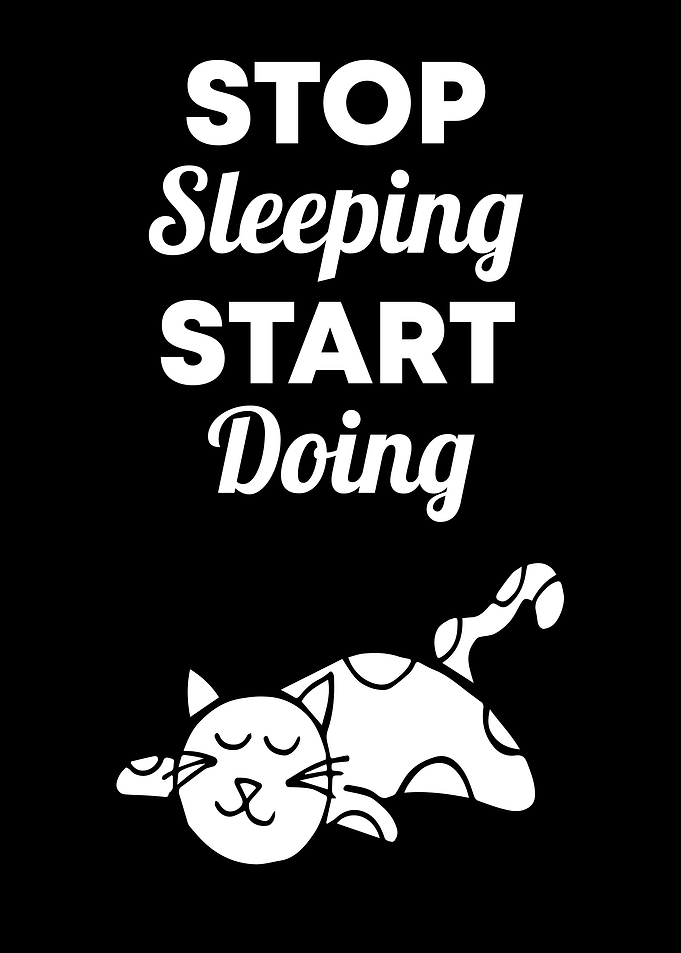 Cat Stop Sleeping 7
