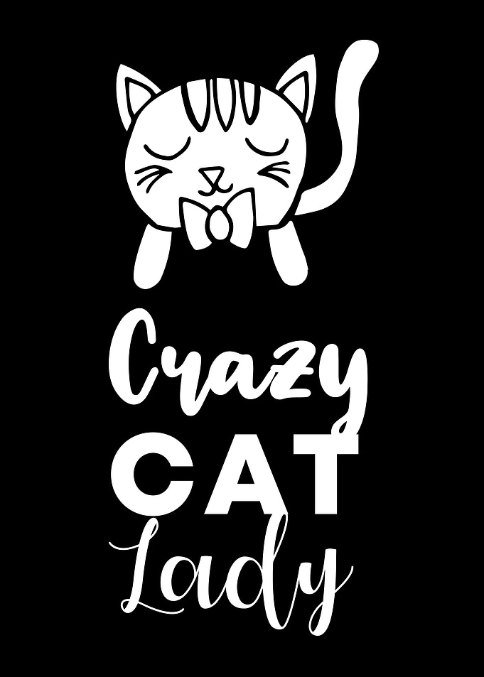 Crazy Cat Lady 10