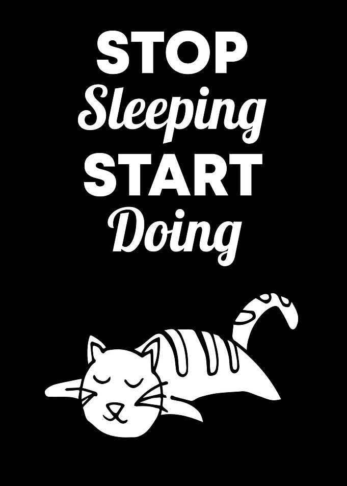 Cat Stop Sleeping 1