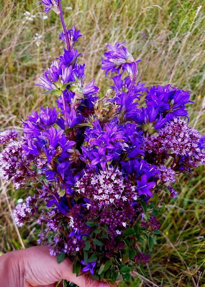 Purple field bouquet