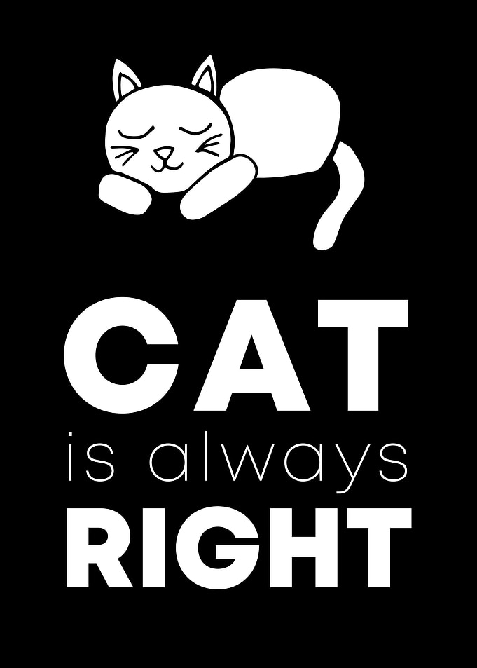 Cat Always Right 1