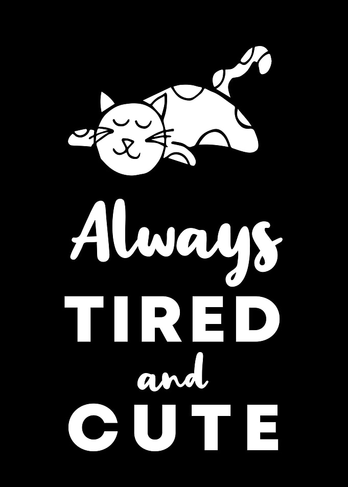 Cat Tired and Cute 6