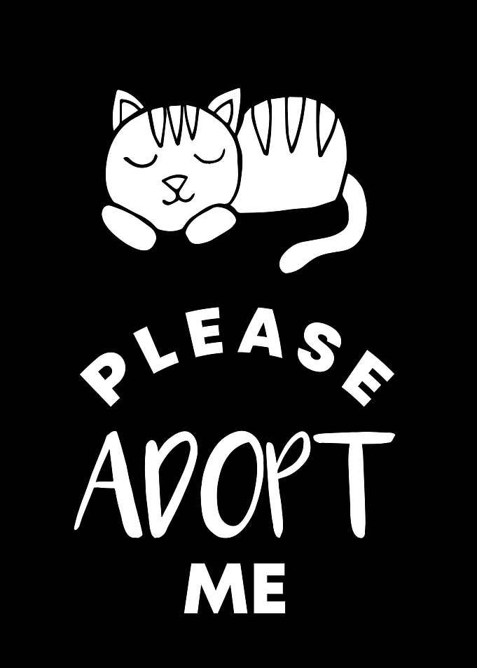 Cat Please Adopt Me 12