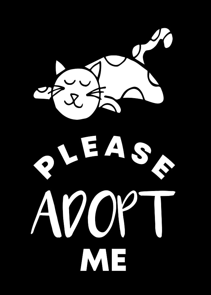 Cat Please Adopt Me 6