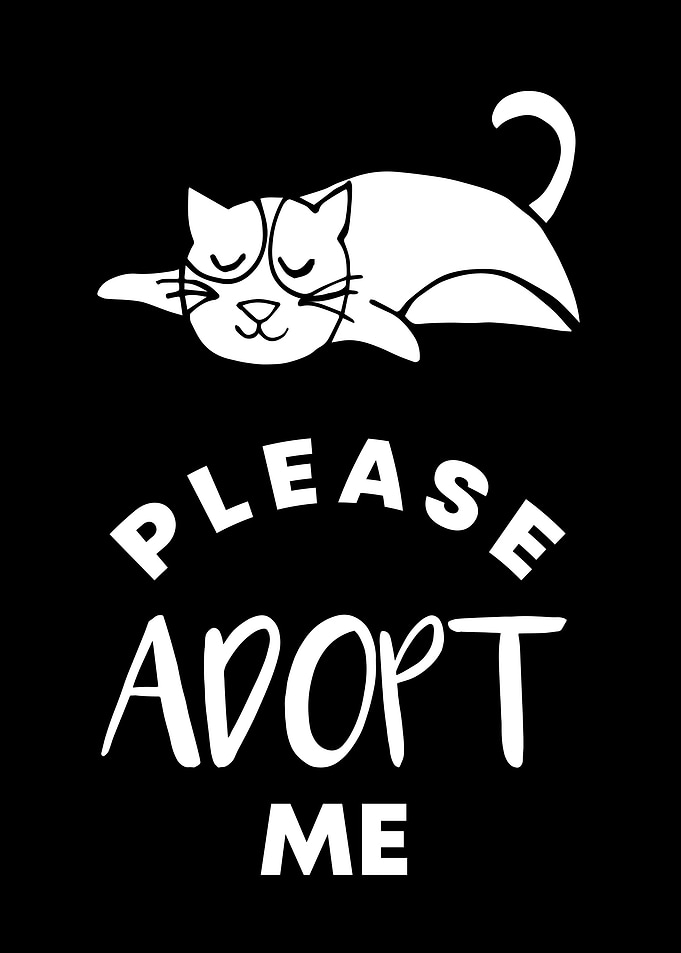 Cat Please Adopt Me 3