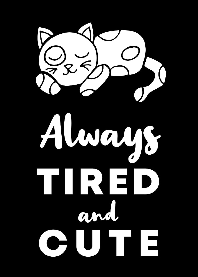 Cat Tired and Cute 10