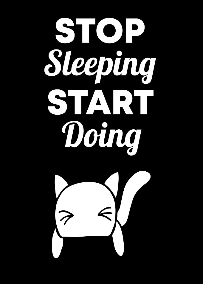 Cat Stop Sleeping 12