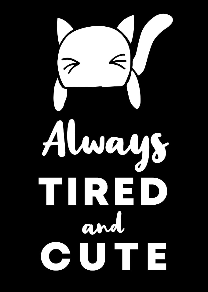 Cat Tired and Cute 13