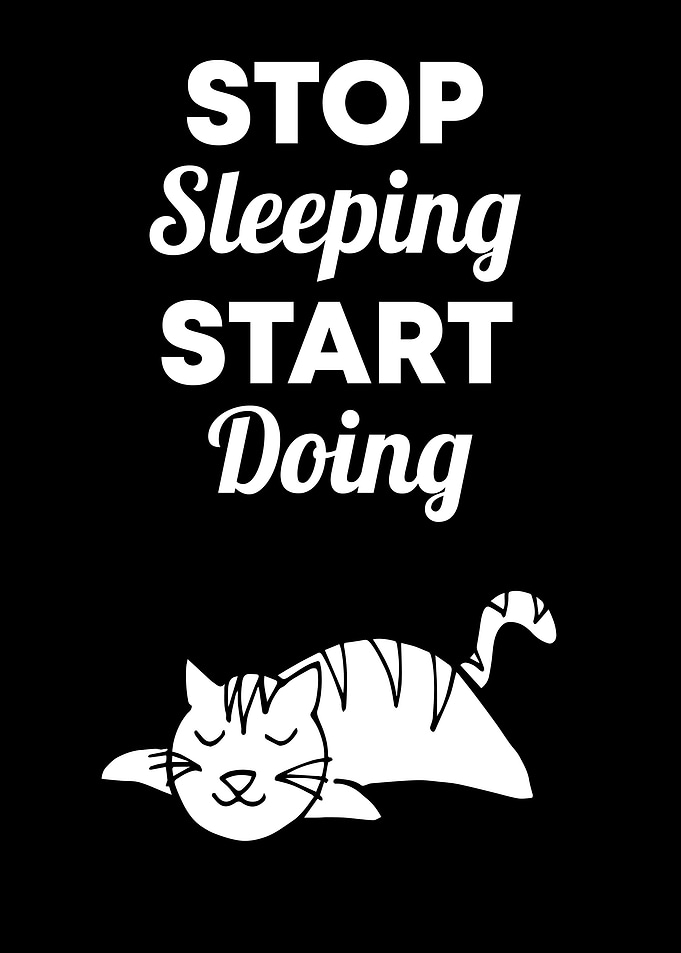 Cat Stop Sleeping 3