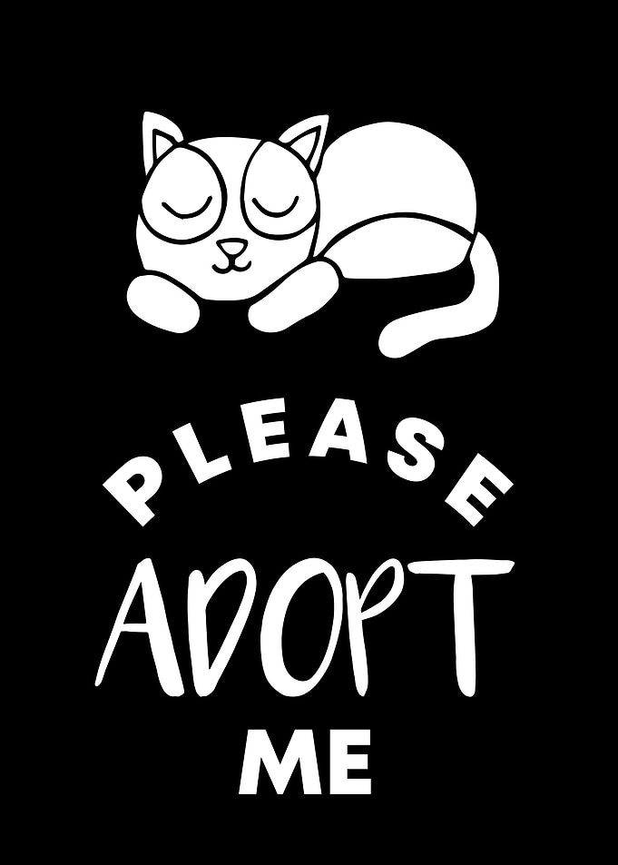 Cat Please Adopt Me 15