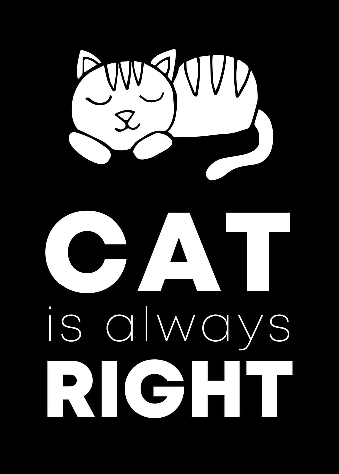 Cat Always Right 12