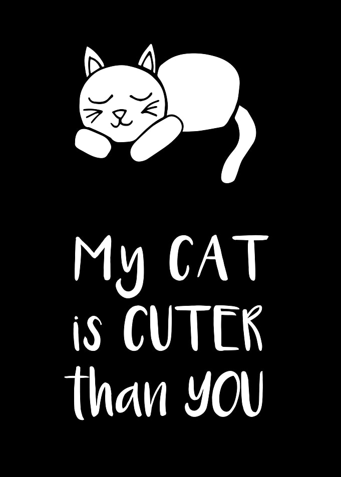 My Cat Is Cuter 1