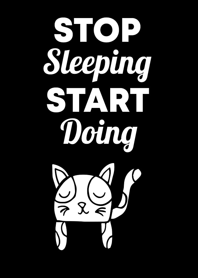Cat Stop Sleeping 8