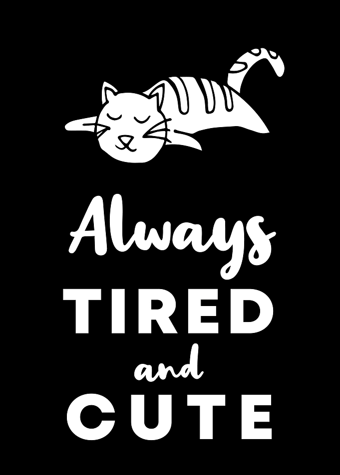 Cat Tired and Cute 3