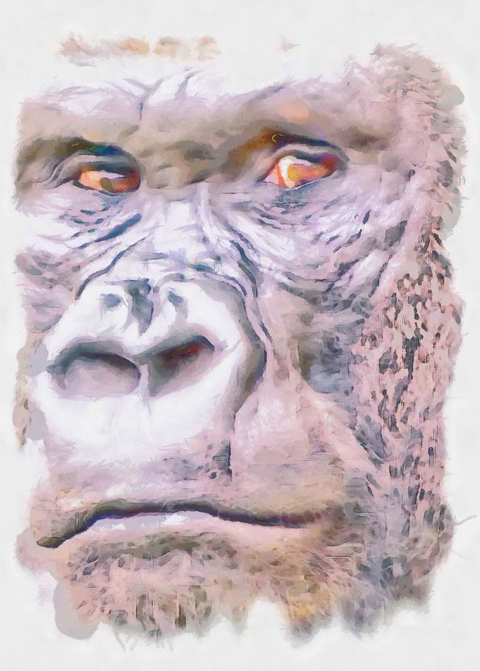 Painted Primate