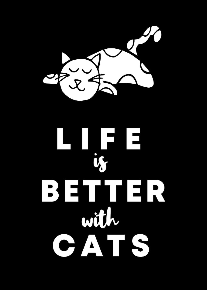 Cats Life Is Better 5