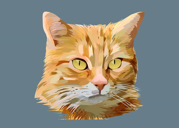 Cats Vector Artwork