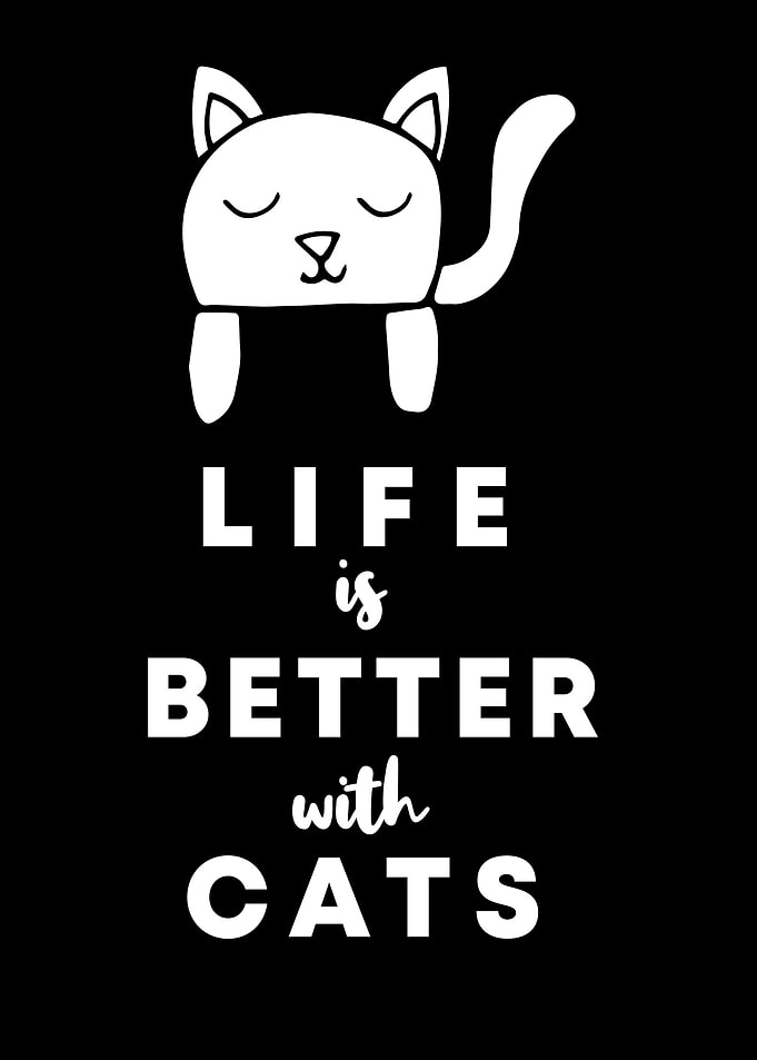 Cats Life Is Better 7