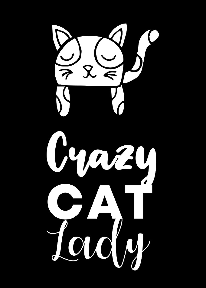 Crazy Cat Lady 7