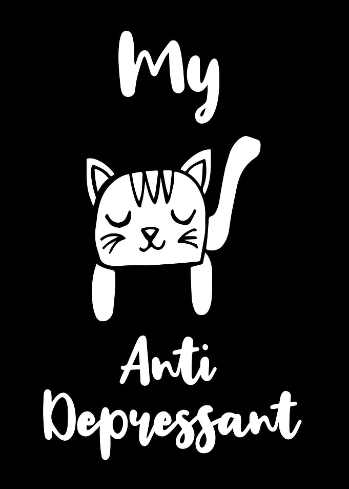 Cat Anti Depressant 11