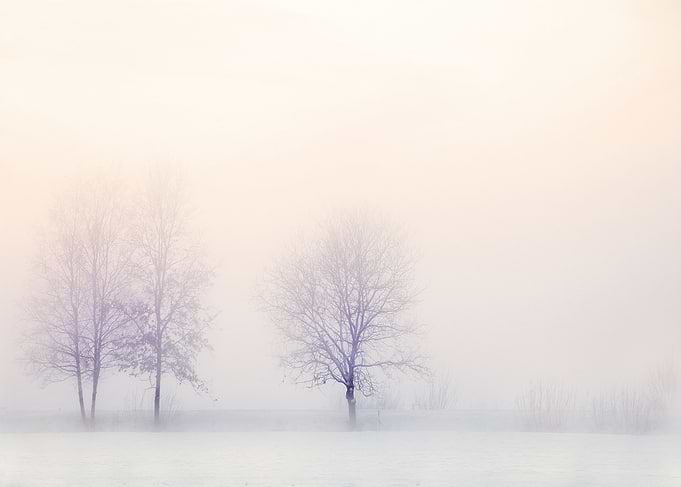 Winter Landscape