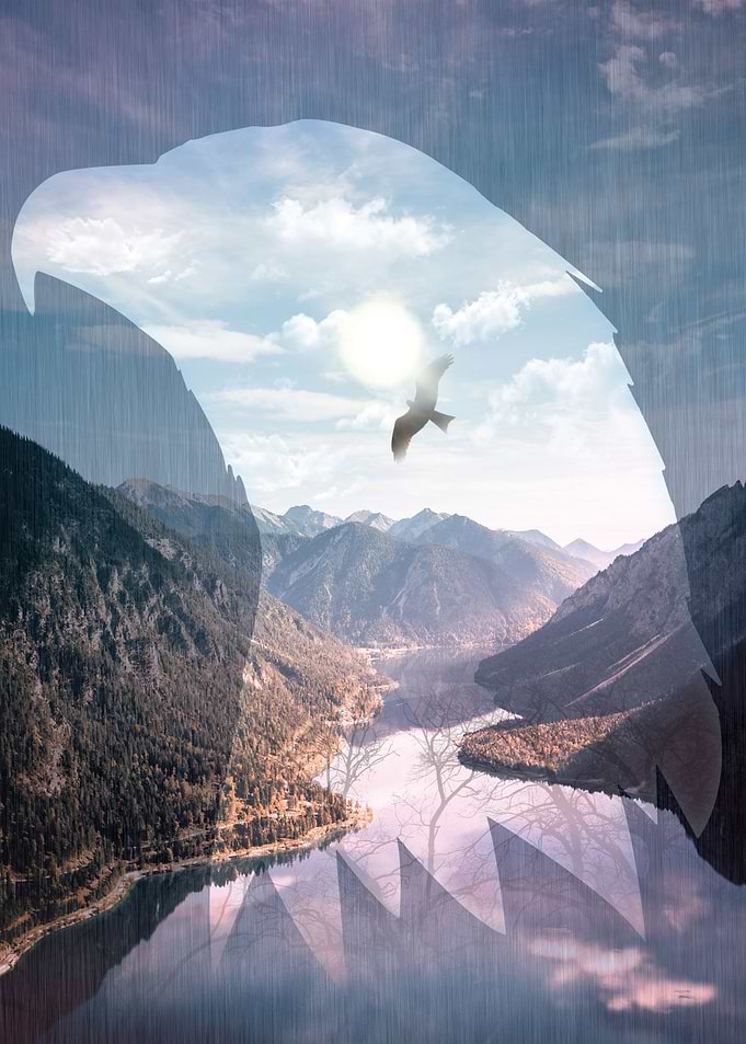 EAGLE in Nature