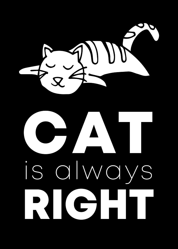 Cat Always Right 3